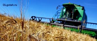 Государственные программы на развитие сельского хозяйства: современные реалии Как получить господдержку начинающему фермеру